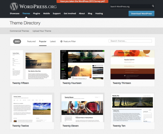 Wordpress