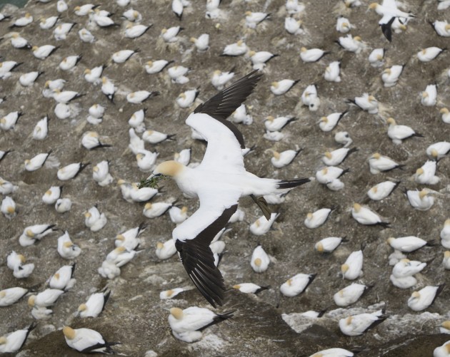 &copy; Robyn Waterhouse. Winner, Nature.