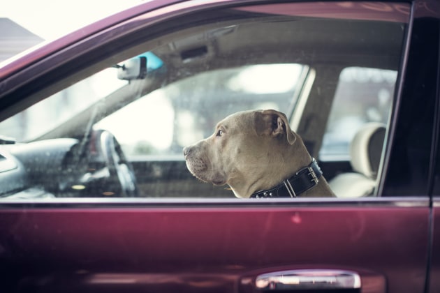 &copy; Lee Howell. The Kingsland Project.