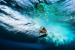 Masters of the aquatic realm