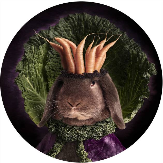 AIPP Photographers of the Year 2016