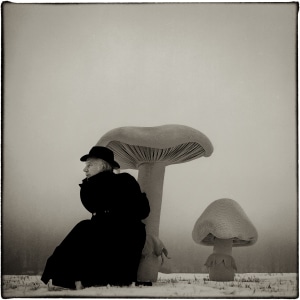 A project 38 years in the making