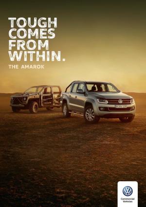 alt text for this image