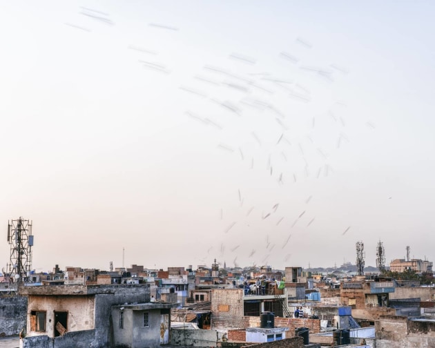 Australian Documentary Photographer of the Year &ndash; Mick Porter APP AAIPP