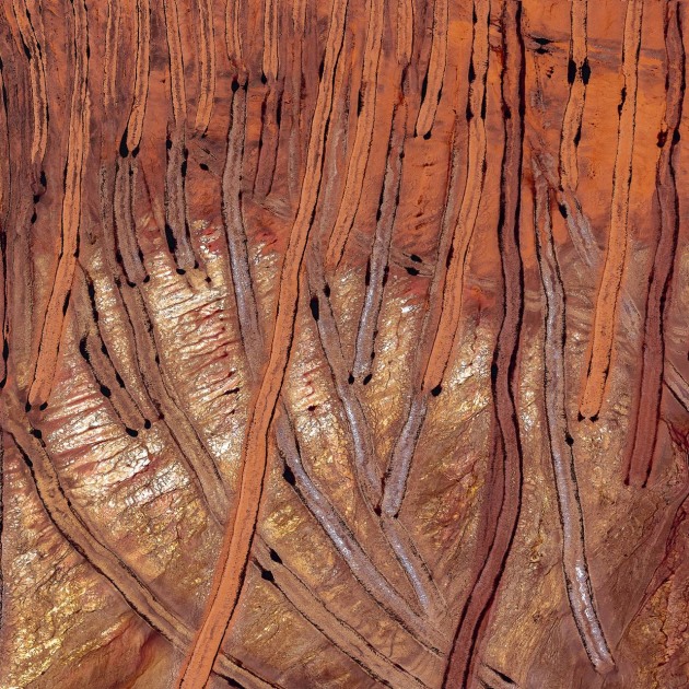 Australian Emerging Photographer of the Year &ndash; Barbara Brown