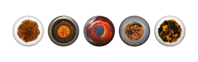 Overseas Photographer of the Year &ndash; Jayne Fletcher