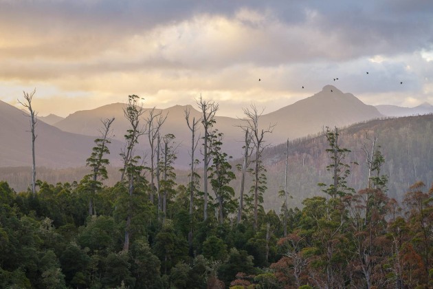 Australian Professional Photographer of the Year & Landscape Photographer of the Year &ndash; Matt Palmer APP M.Photog.