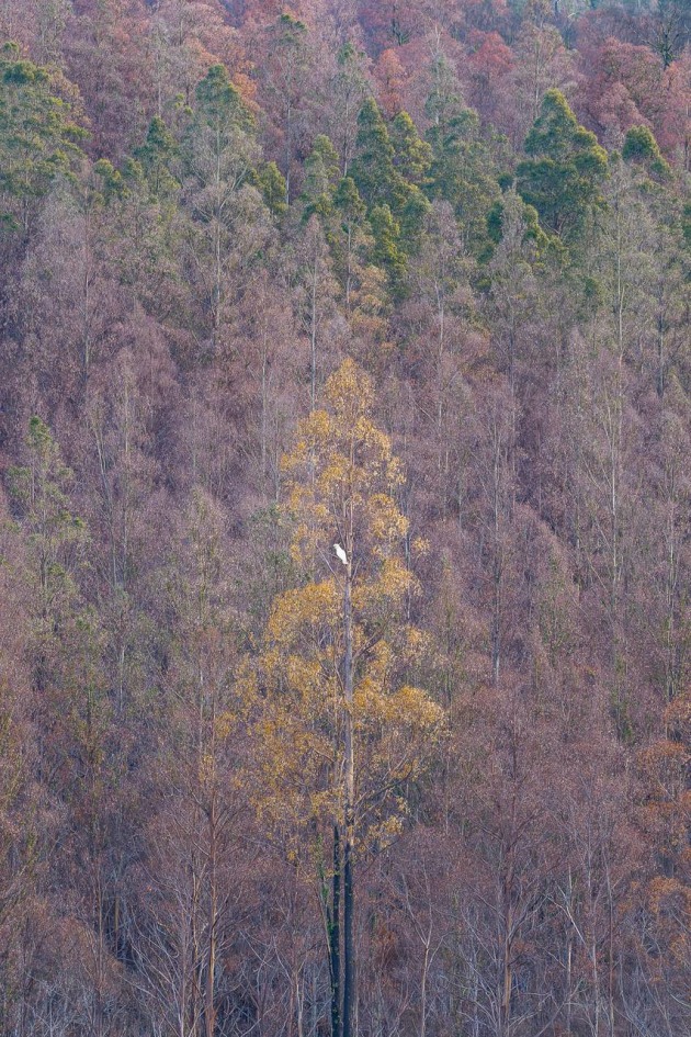 Australian Professional Photographer of the Year & Landscape Photographer of the Year &ndash; Matt Palmer APP M.Photog.