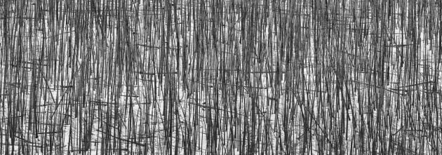 Australian Emerging Photographer of the Year &ndash; Barbara Brown