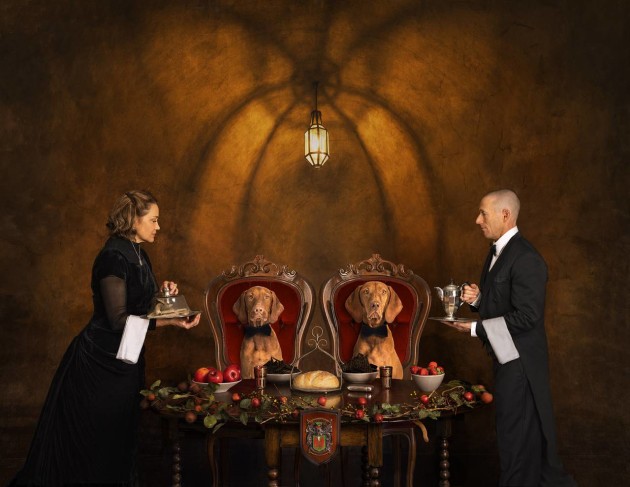 Australian Creative Photographer of the Year &ndash; Peter Rossi APP.L GM.Photog. II P.B.