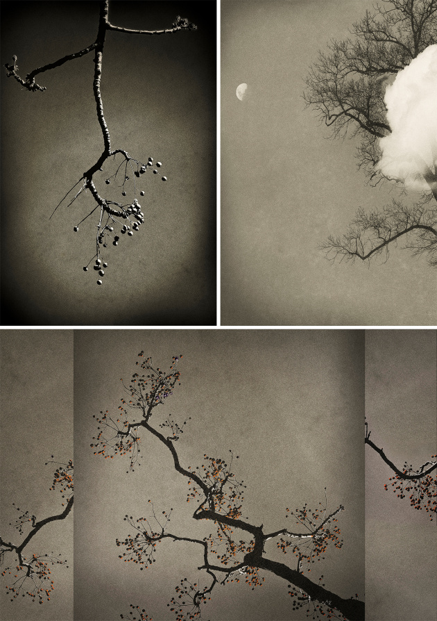 by Rob Cowpe. Runner-up, Art category, Australasia's Top Emerging Photographers 2025.