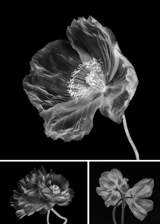 Mary Jo Gomez. Winner, Black & White category, Australasia's Top Emerging Photographers 2025.