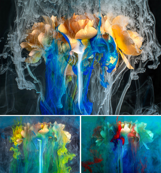 Christine Bairstow. Winner, Art category, Australasia's Top Emerging Photographers 2025.