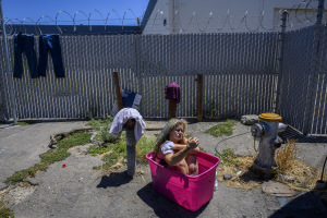 A thousand words: visual storytelling today