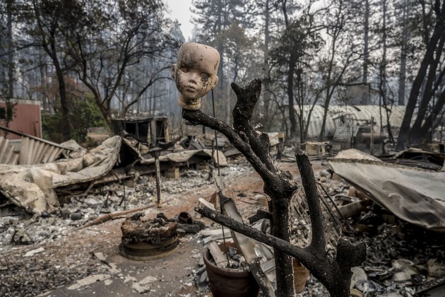 © Renée C. Byer/The Sacramento Bee. A ceramic doll head is perched on a branch as one of the only remains at the Pine Springs Mobile Home Park from the Camp Fire, 15 November, 2018, in Paradise, Calif. The wildfire, which ignited in a rural area on 8 November before consuming the town of Paradise and roaring through nearby communities, left a staggering toll, with at least 86 people killed and nearly 19,000 buildings, most of them homes, destroyed.