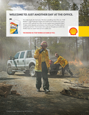 alt text for this image