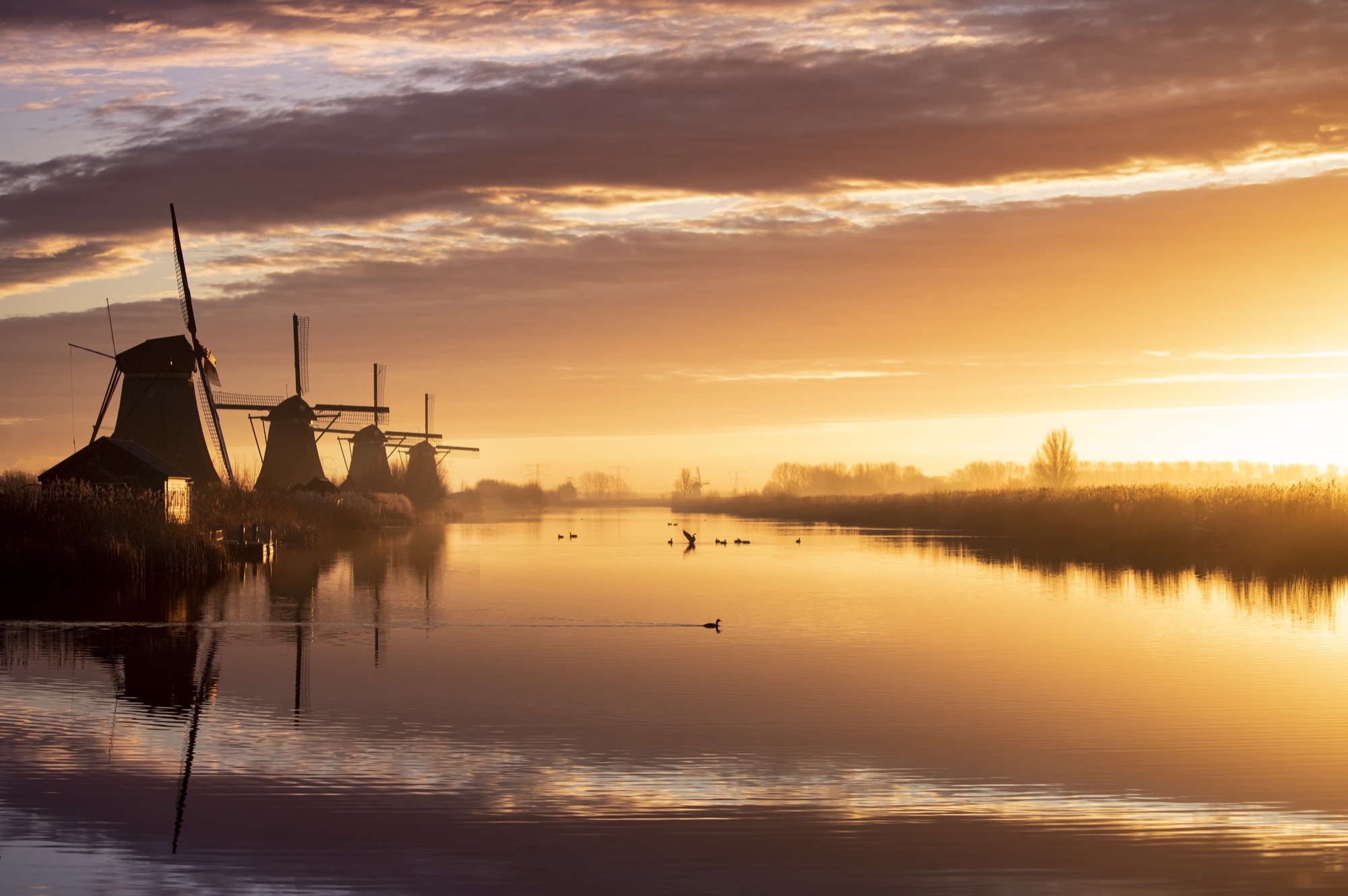 Dutch Dreams. Image © Claire Droppert