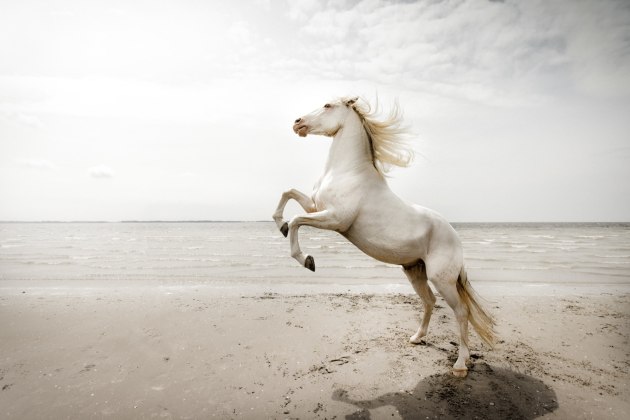 From the Emotions Series 'Anger'. Image &copy; Claire Droppert