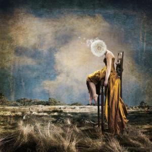 alt text for this image