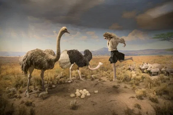 © Cade Martin. Ostrich, from the series, Diorama.