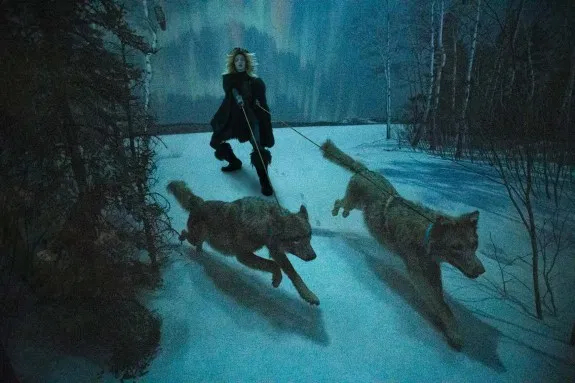 © Cade Martin. Wolf, from the series, Diorama.