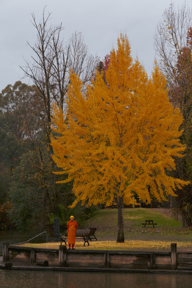 A Buddhist in bright: It&rsquo;s about to rain. On a crispy thin morning in the centre of Victoria&rsquo;s high country, a monk exits the sliding door of a white van. He walks ten or so steps to reach the tree by the river, pauses 1-2-3-4, then returns and disappears back through the sliding door. The white van leaves a puff of white smoke in its wake.
Image: Francesca Donnoli