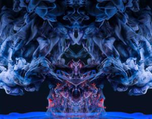 alt text for this image