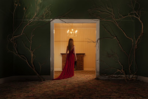 alt text for this image