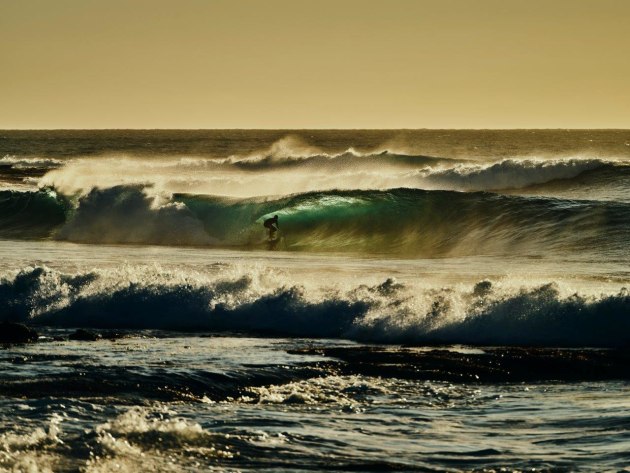 © Russel Ord. GFX100 & GF250mm f/4 LM OIS WR lens. 1/2500s at F5.6, ISO 160.