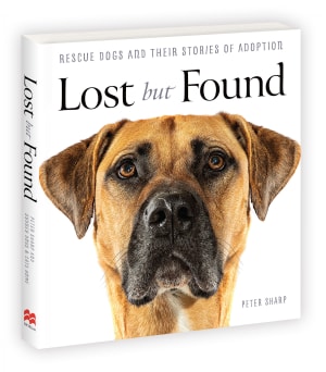Lost but Found by Peter Sharp
