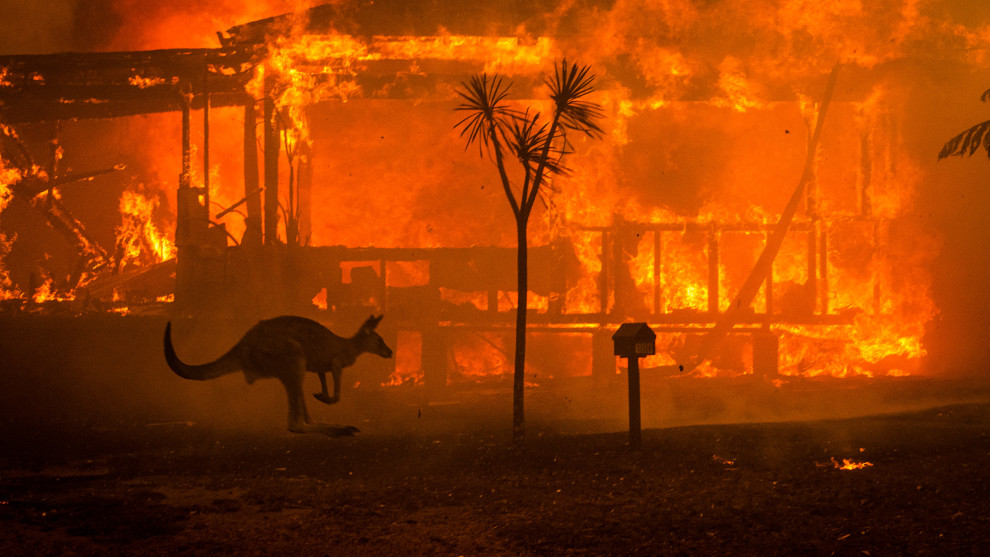 &copy; Matt Abbott. A kangaroo flees a terrifying firestorm that enveloped the South Coast township of Lake Conjola in NSW, 31 December, 2019.