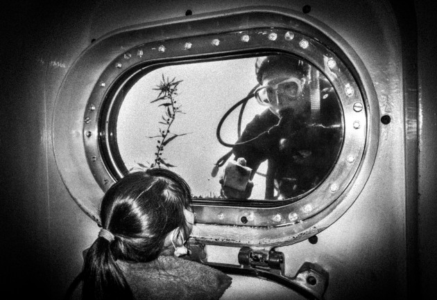 UNDERWATER SEA OBSERVATORY, KATSUURA:
A woman cleans the window of the Katsuura Under Sea Observatory which is 300 km south of Fukushima Daiichi Nuclear Power Plant. Despite the large amounts of toxic spill into the ocean the marine life seems in tact and life goes on.  Image: Meg Hewitt