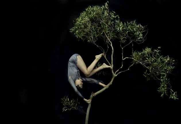 © Tamara Dean. Tumbling through the treetops, 2020, from the series, In isolation. Pigment ink-jet print 110 x 160 cm. Courtesy of the artist and Michael Reid (Sydney + Berlin).