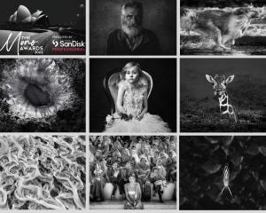 Pro tips for producing successful B&W images; enter The Mono Awards 2022 now