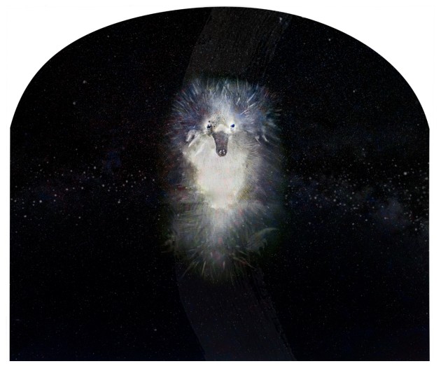 Brian, crossing a winter highway, falls in headlights and the night will lift him, and burnish his quills with galaxies.
Lumachrome glass print, chemigram. Roadkilled short-beaked echidna with sand, crayon, household chemicals and selenium on fibre paper. Exposed 42 hours in an abandoned car. Image &copy; Judith Nangala Crispin