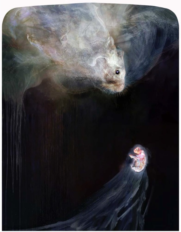 Ascending Being 26—She remembered running, baby in pouch, the burrow nearly visible, birds lifting from the watertank at the first rifle’s crack– so cold in the long grass, day drops night, and the joey stills. In the winter sky over Braidwood, Enid finds her baby again, as a spark in starfields. Lumachrome glass print, cliche-verre, chemigram and drawing. Shot wombat mother and her frozen joey. Exposed 49 hours, with salt, sand, ochres, gold chloride, white-out and clay, on fibre paper in a geodesic dome. Image: Judith Nangala Crispin