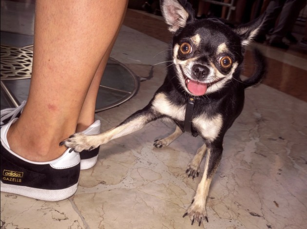 Image: Dougie Wallace