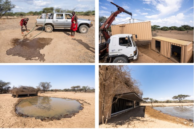 © Will Burrard-Lucas. Various stages of development at Shompole Hide.